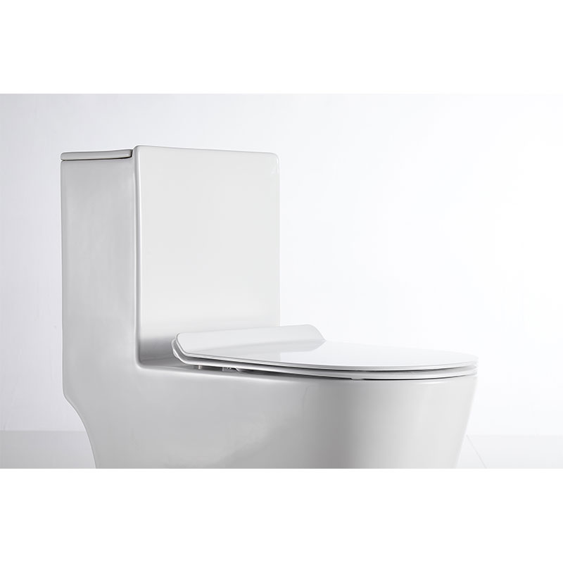 AD-012-OPT Sanitary Ware Bathroom China Cheap Portable Wc Water Close toilet