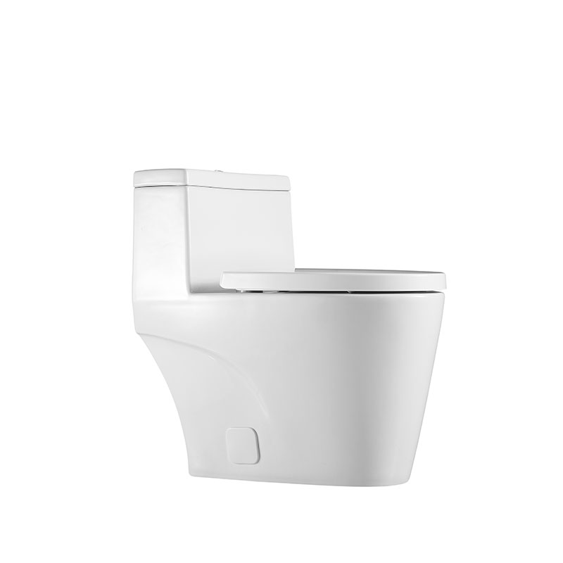 AD-112T-OPT Modern Bathroom White One piece North America UPC/CUPC  tolilet