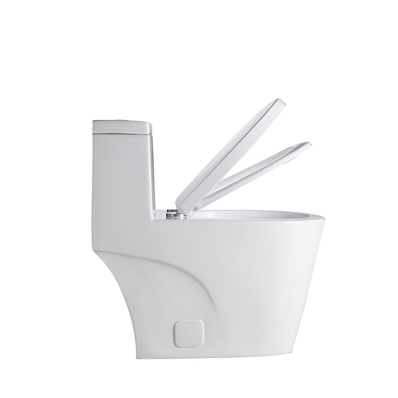 AD-112T-OPT Modern Bathroom White One piece North America UPC/CUPC  tolilet