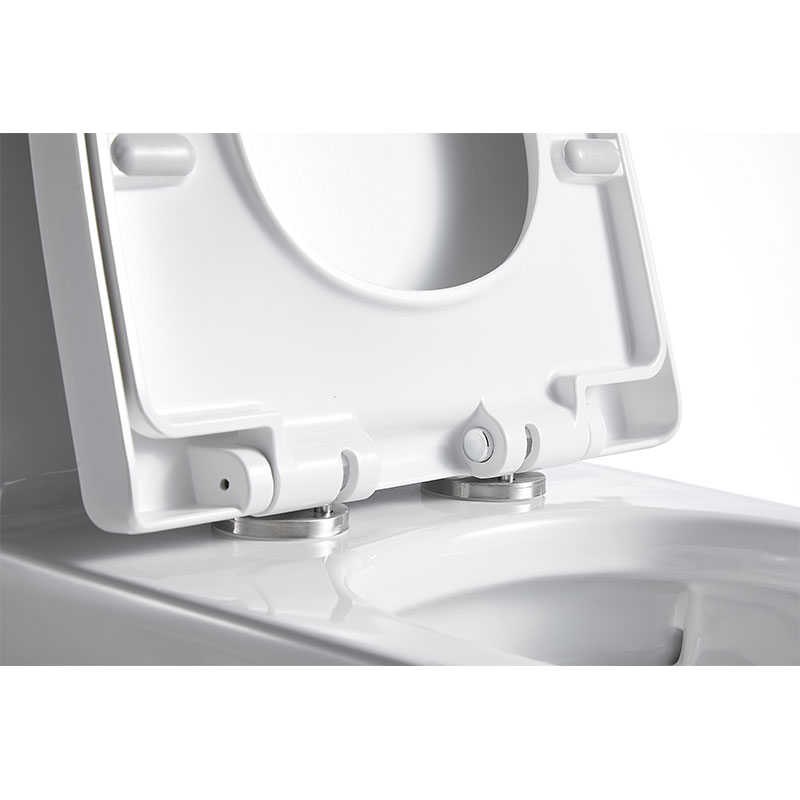 AD-112T-OPT Modern Bathroom White One piece North America UPC/CUPC  tolilet