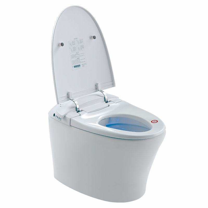 AD-918 Wind&Temp Adjusting Massage Auto Kicking Flush Female Wash smart toilet