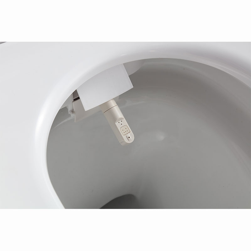 AD-918 Wind&Temp Adjusting Massage Auto Kicking Flush Female Wash smart toilet