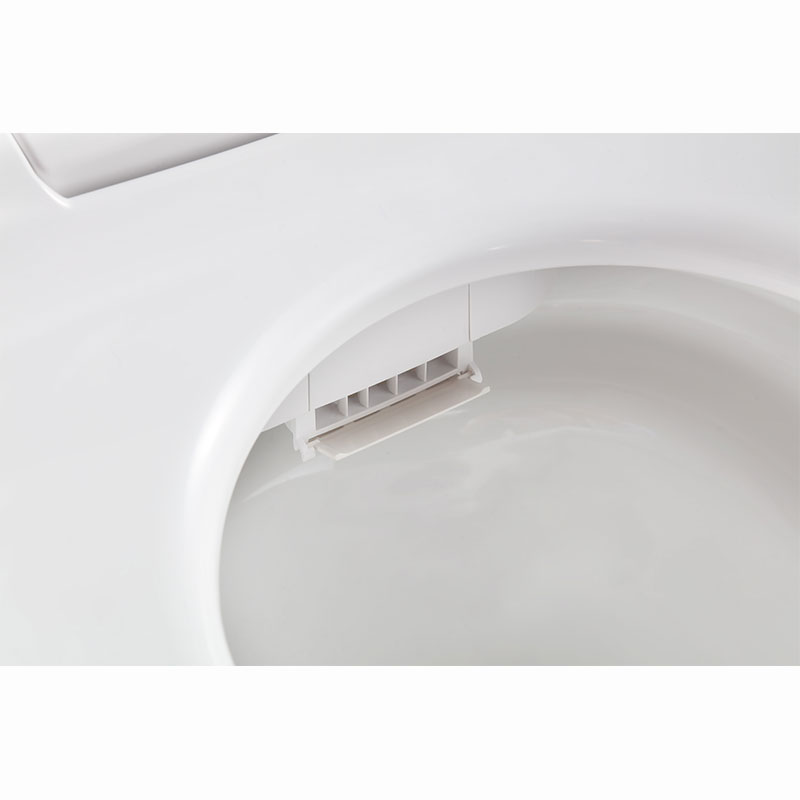 AD-918 Wind&Temp Adjusting Massage Auto Kicking Flush Female Wash smart toilet