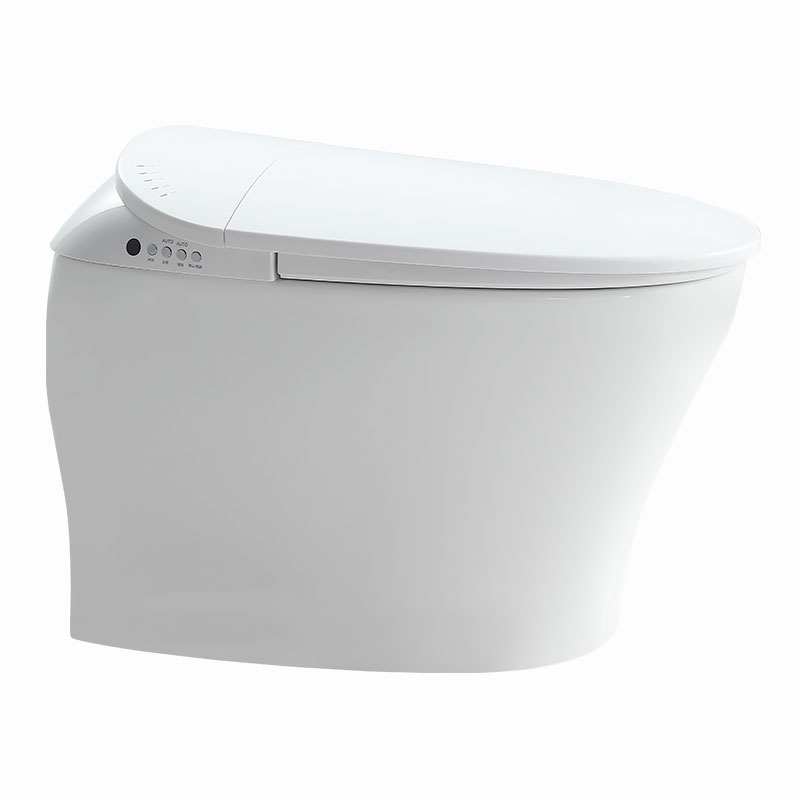 AD-918 Wind&Temp Adjusting Massage Auto Kicking Flush Female Wash smart toilet