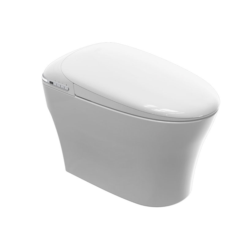 AD-P310 Auto Fushing Self-cleaning  TOTO Style Automatic Smart toilet