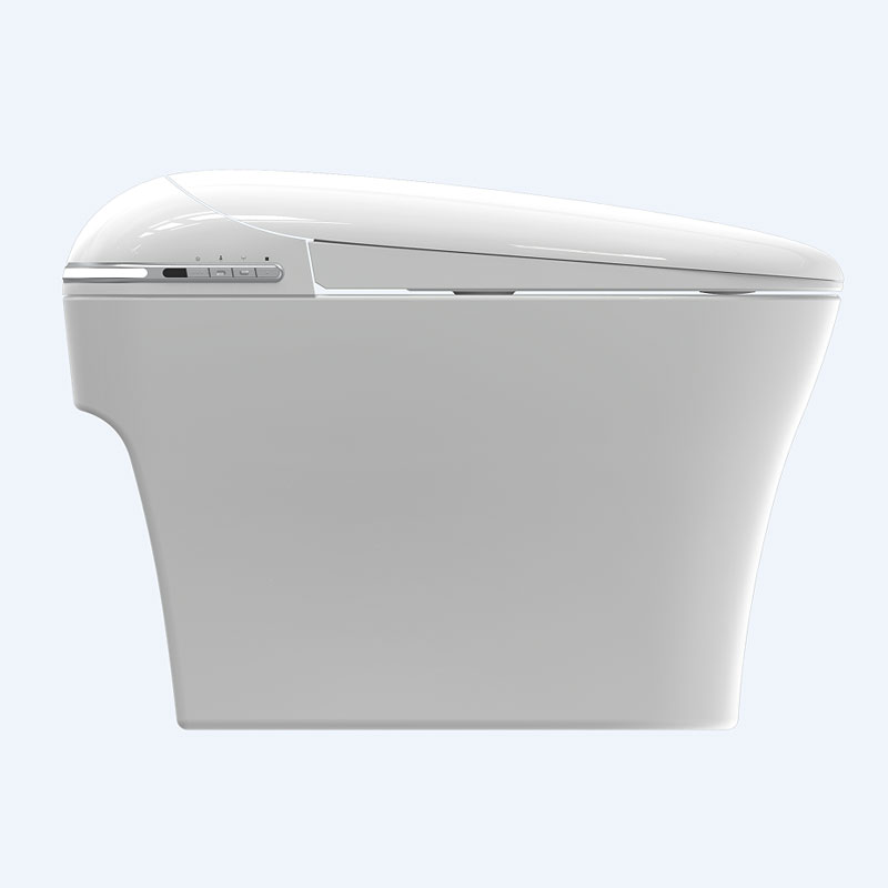 AD-P310 Auto Fushing Self-cleaning  TOTO Style Automatic Smart toilet