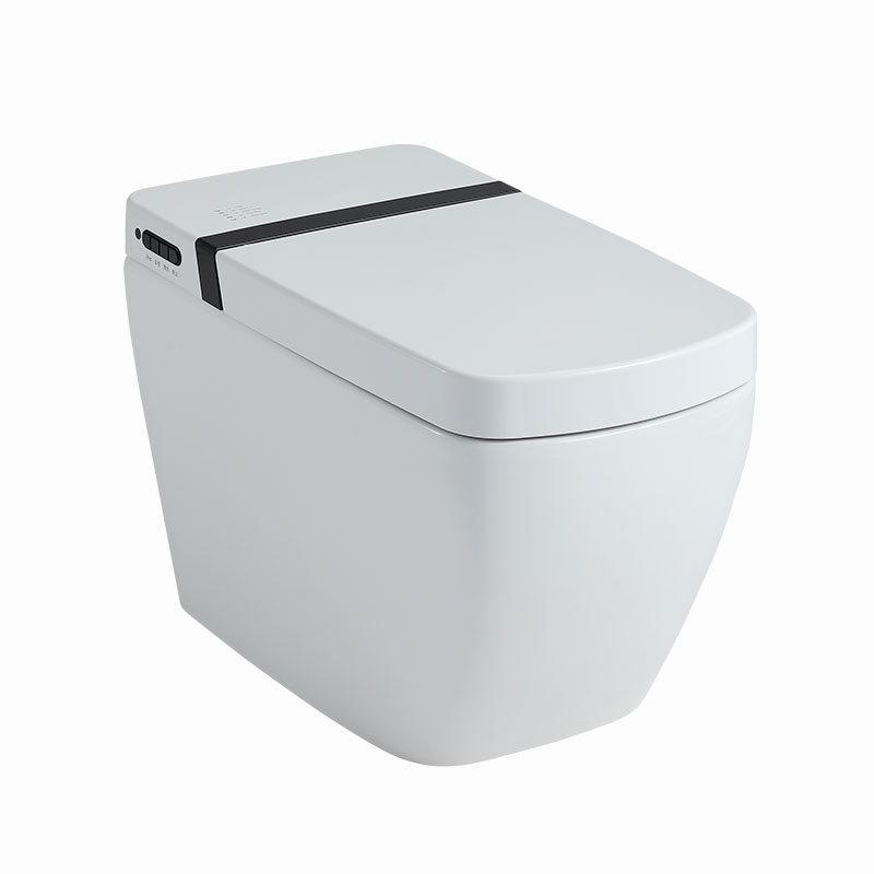 AD-501B Smart Toilet Bidet in White with Auto Open, Auto Close, Auto Flush