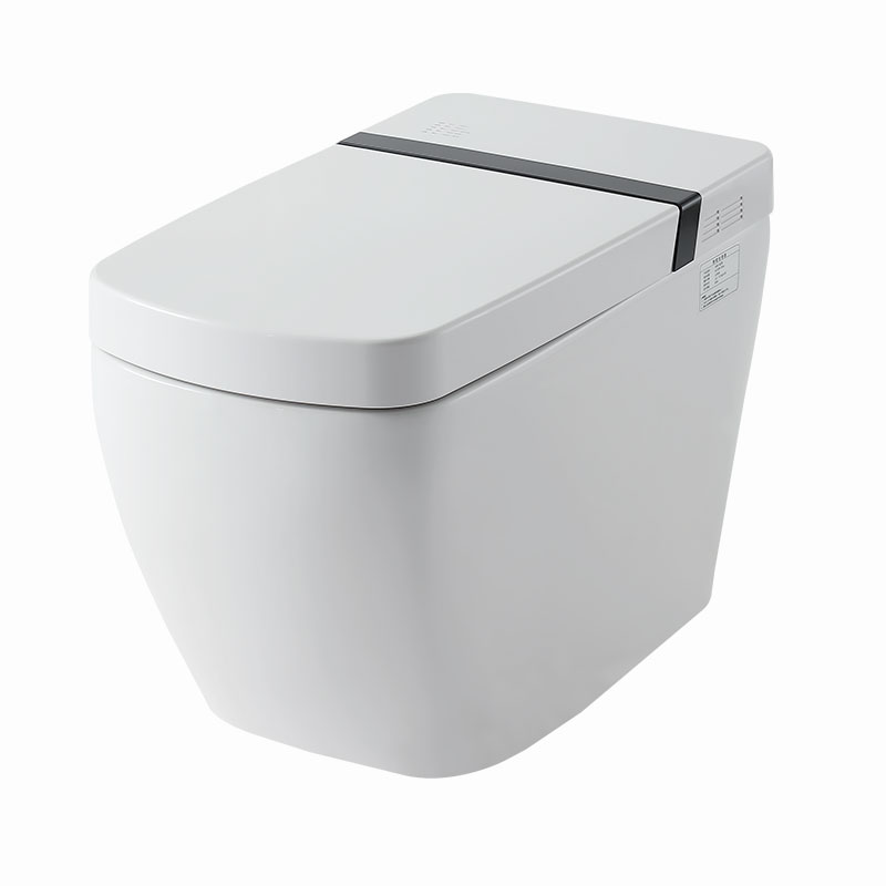 AD-501B Smart Toilet Bidet in White with Auto Open, Auto Close, Auto Flush