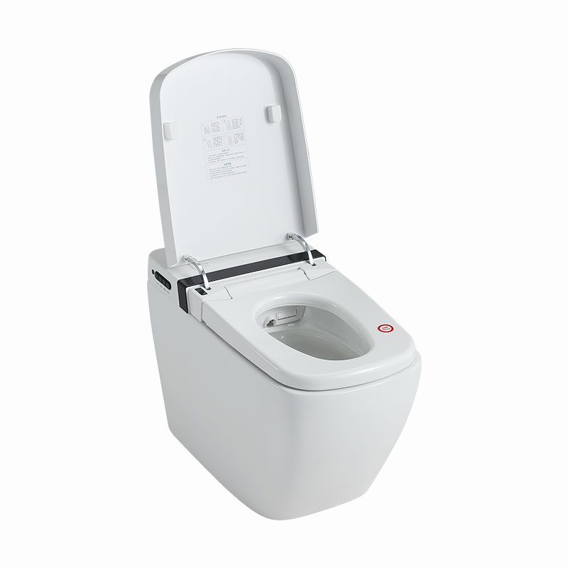 AD-501B Smart Toilet Bidet in White with Auto Open, Auto Close, Auto Flush