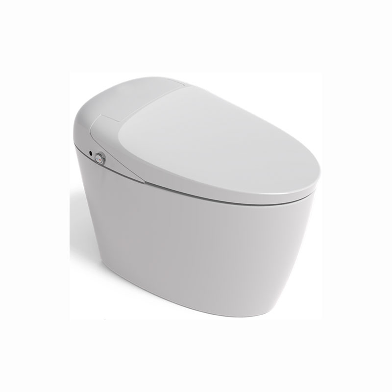 AD-M15 Eco Bathroom Auto Fush Heated Seat Intelligent Toilet With Remote Control