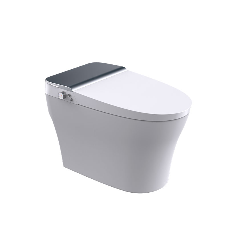 AD-W8802B Bathroom Health Care Laxative Auto Fush Heated seat Smart WC Toilet