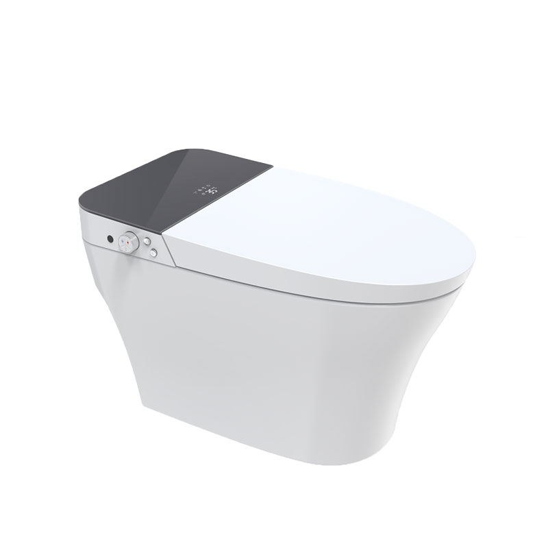 AD-9535 Bathroom Health Care Laxative Auto Fush and Heated seat Smart Wc Toilet