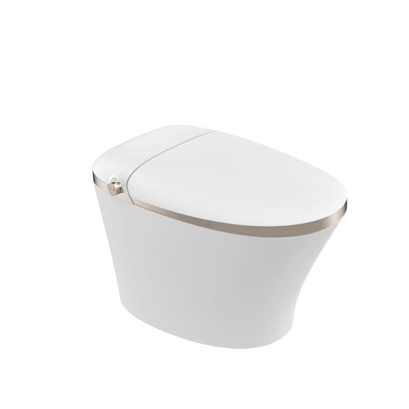 AD-919 Elegant Massage Auto Flush  Self Clean in Gold Intelligent  toilet