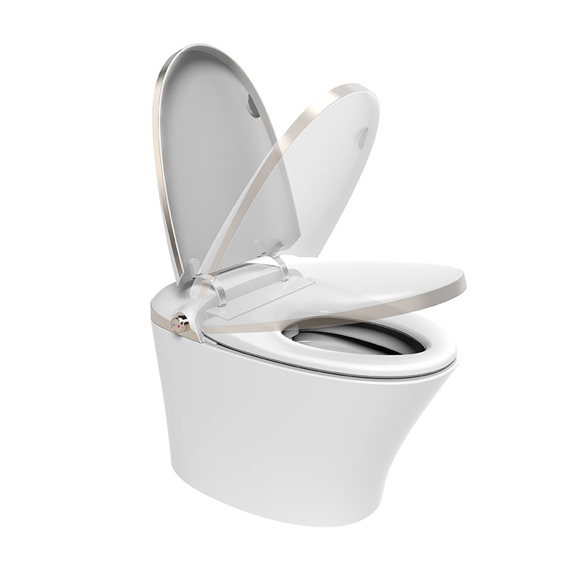 AD-919 Elegant Massage Auto Flush  Self Clean in Gold Intelligent  toilet