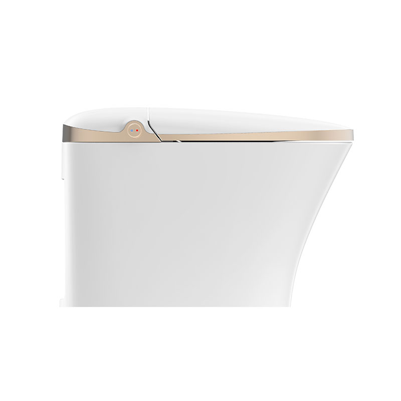 AD-919 Elegant Massage Auto Flush  Self Clean in Gold Intelligent  toilet