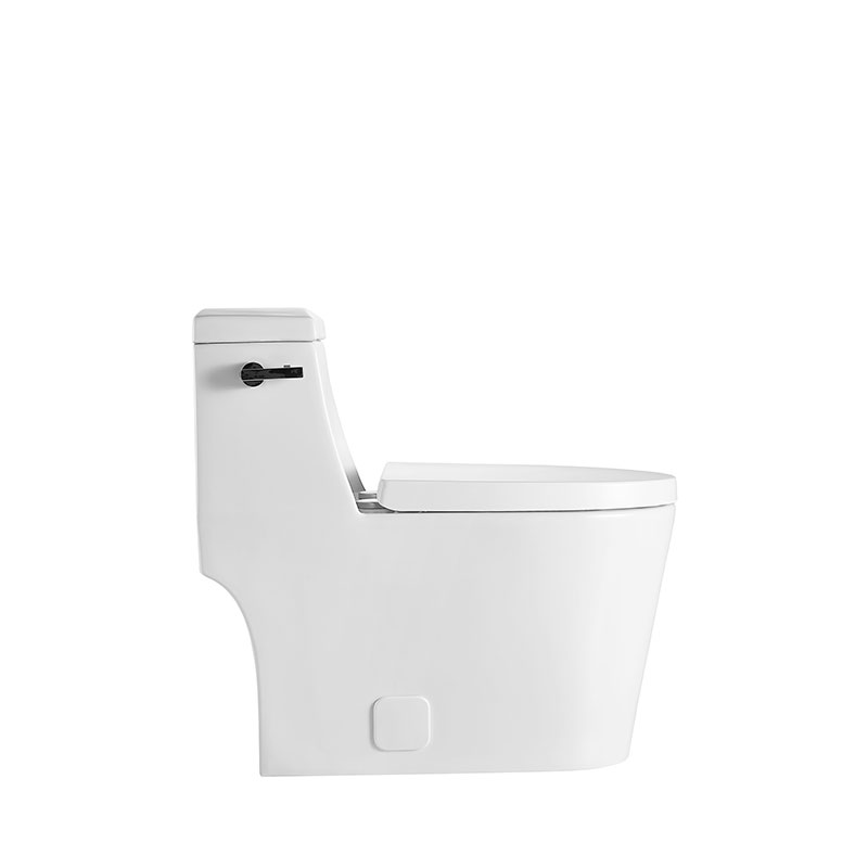 AD-118-OPT CUPC One Piece  Siphonic S-trap With Geberit water fitting Toilet