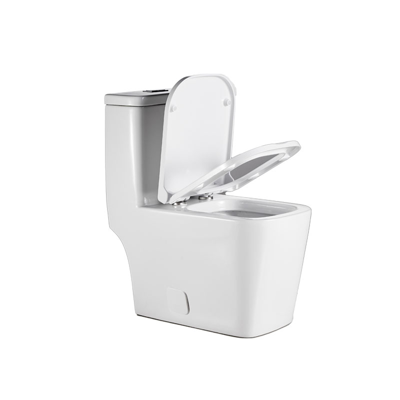 AD-128-TPT Economic Dual flush Water Closet Square One Piece Toilet