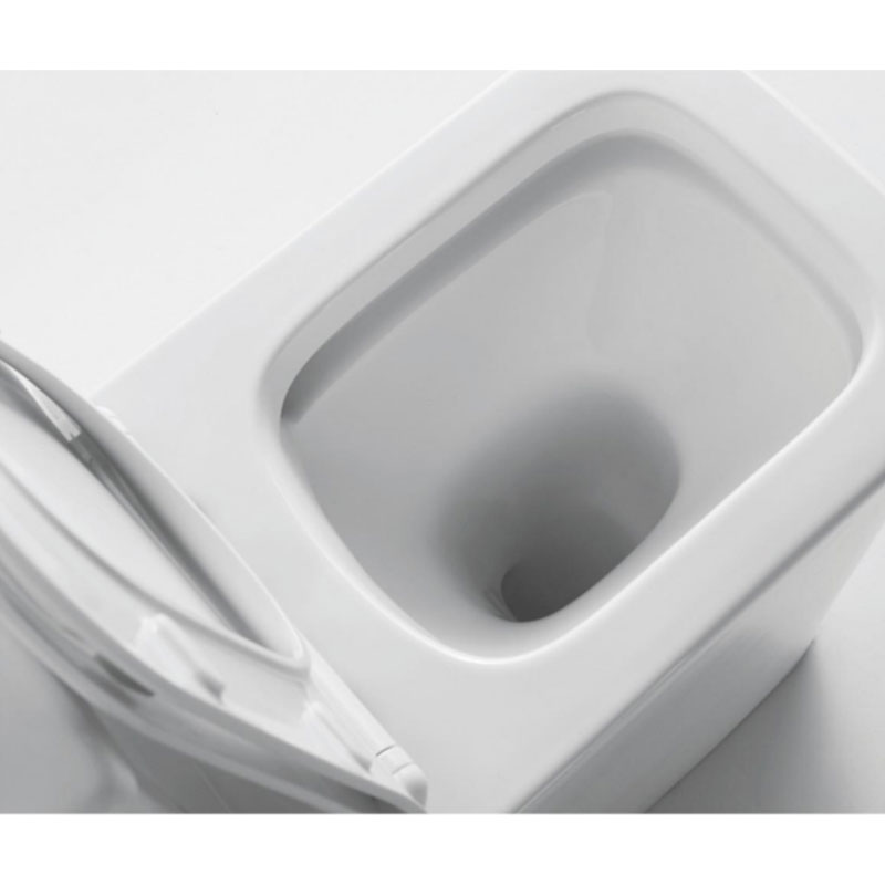 AD-5170 Wall hung Rimless washdown dual flush system WTM certification toilet