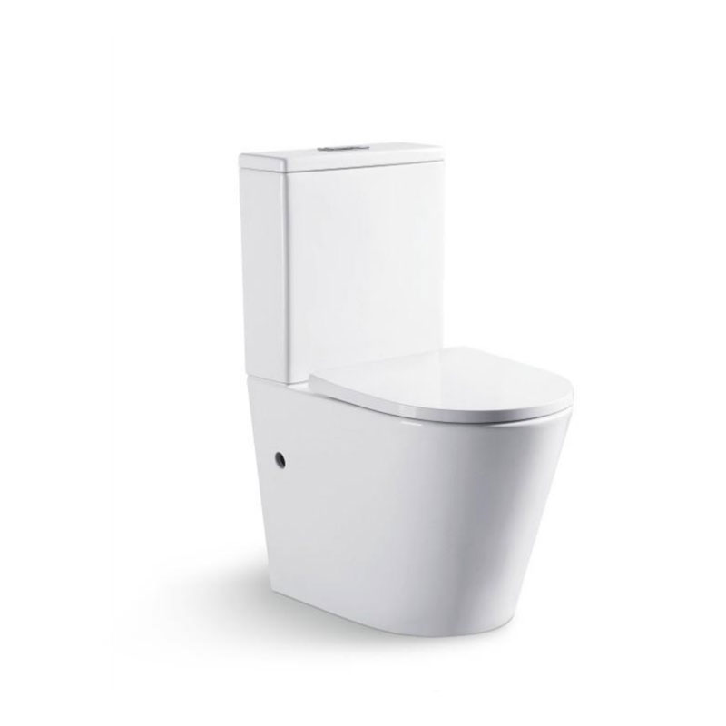 AD-2179  P-Trap Dual Flush Rounded Rimless Matt Sanitary Ware Toilet WC Commodes