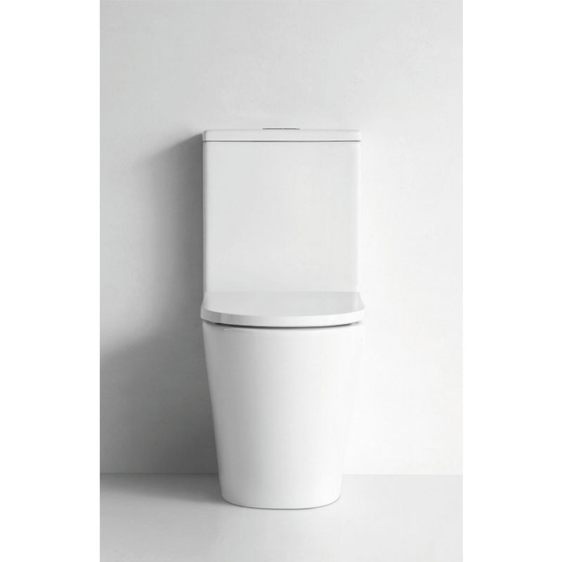 AD-2179  P-Trap Dual Flush Rounded Rimless Matt Sanitary Ware Toilet WC Commodes