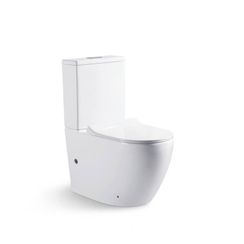  AD-2176 P-trap Decoration Dual Flush Toilet WC Bowl  WTM certification toilet