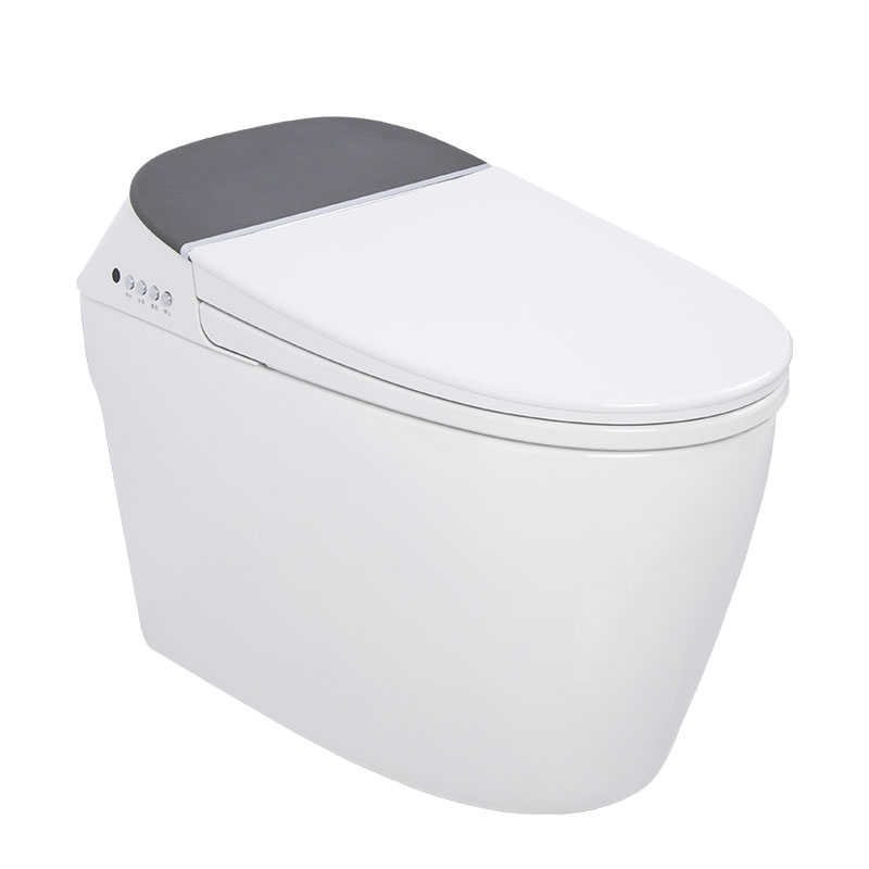 AD-Q9S CUPC certified Power saving Smart toilet in silvery white