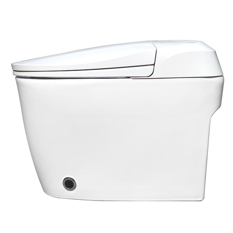 AD-Q8 user memory intelligent knob Power saving Smart toilet in white