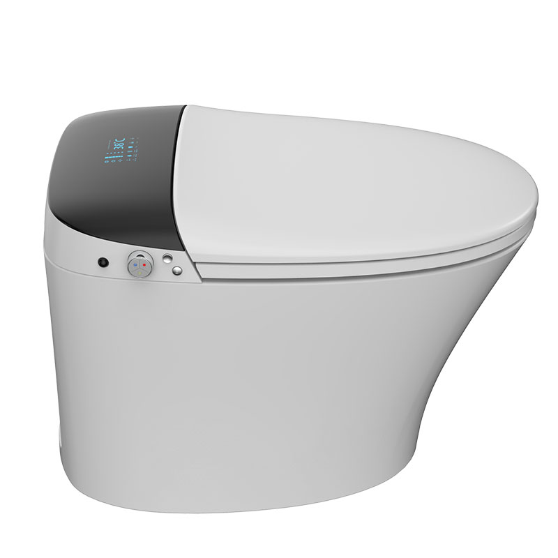 AD-928CUPC Certified one piece Seat heating Infrared remote control Smart toilet