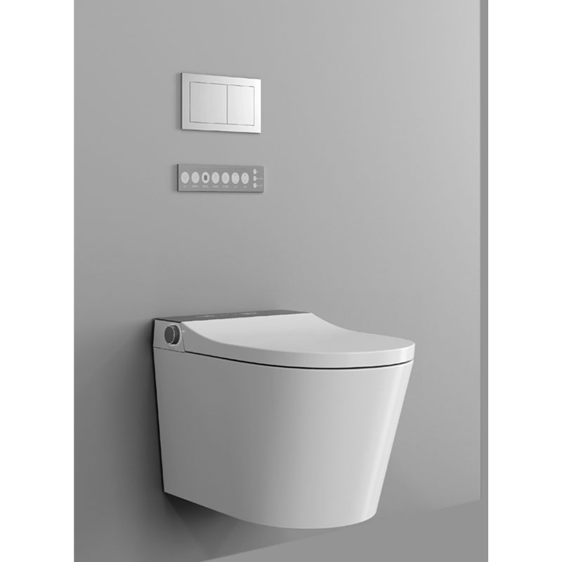 AD-806 Concealed Tank Dual Flush Foot Kicking Sensor Smart toilet