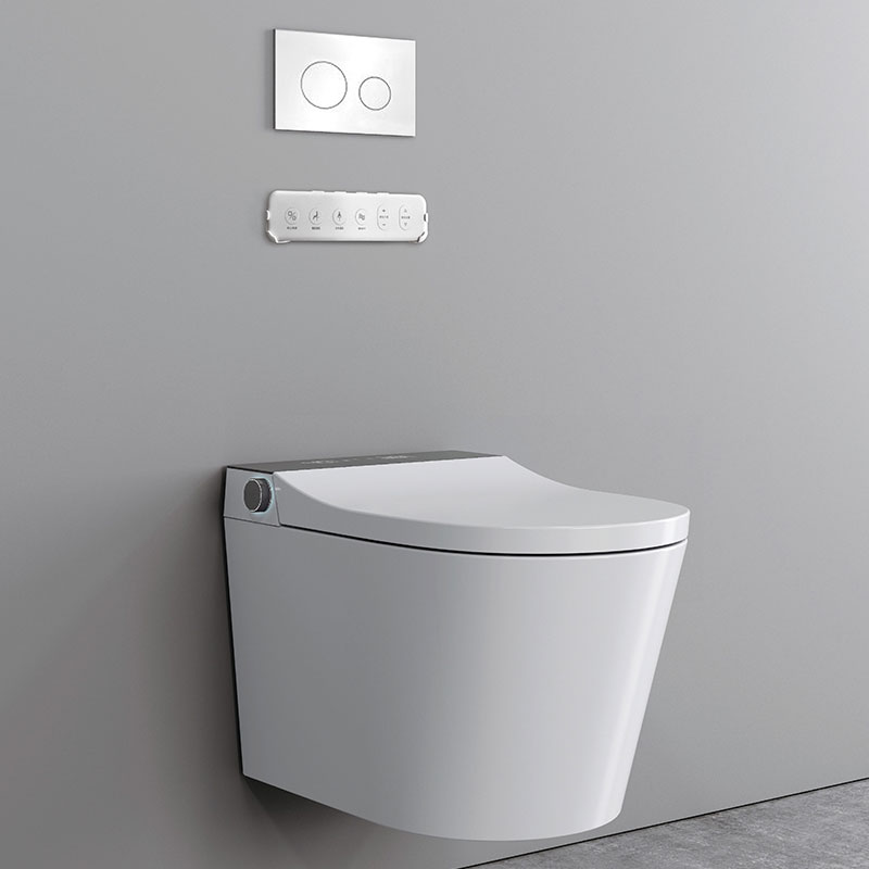 AD-806 Concealed Tank Dual Flush Foot Kicking Sensor Smart toilet