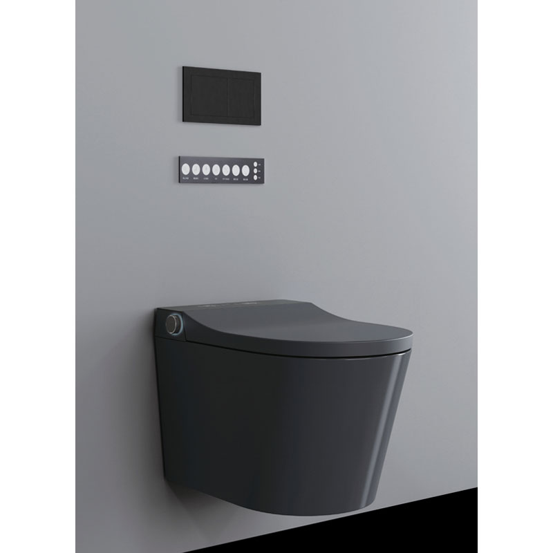 AD-806 Concealed Tank Dual Flush Foot Kicking Sensor Smart toilet