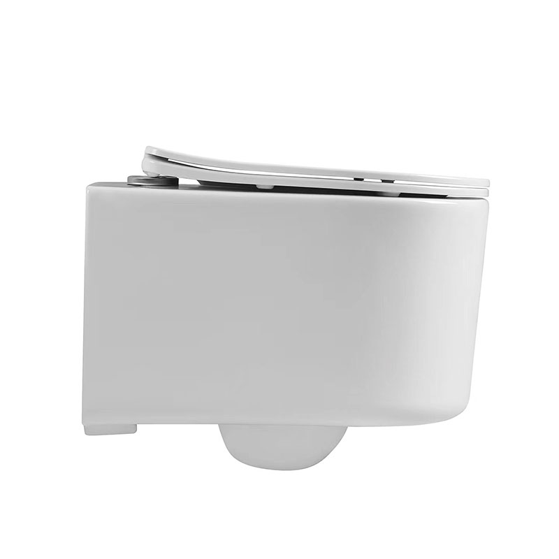 AD-202 Washdown flush Toilet Flush System Product Wall Hung Toilets Bowl