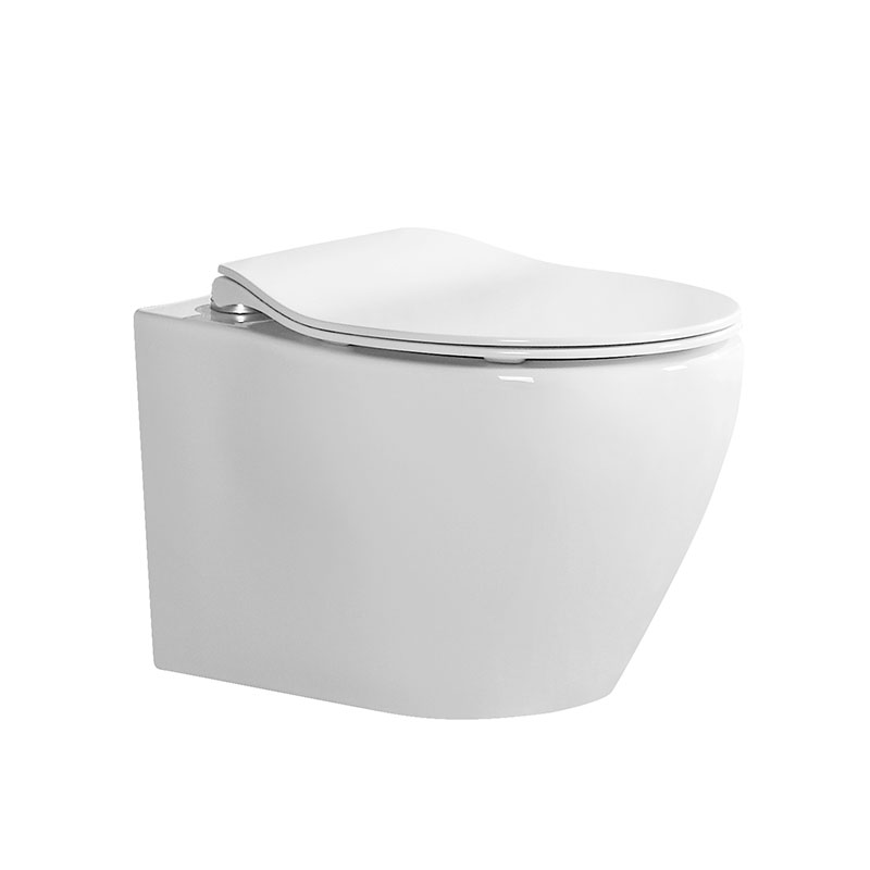 AD-209Buffer Soft Thin Cover Modern Ceramic Multi-color options Wall Hung Toilet